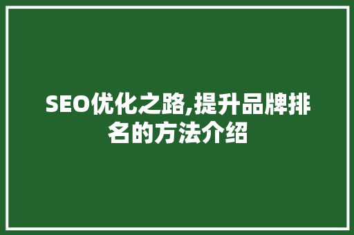 SEO优化之路,提升品牌排名的方法介绍