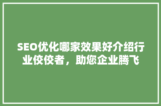 SEO优化哪家效果好介绍行业佼佼者，助您企业腾飞