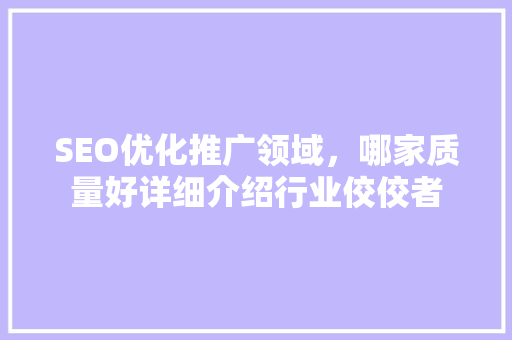 SEO优化推广领域，哪家质量好详细介绍行业佼佼者