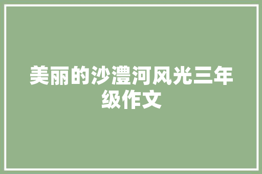 SEO优化核心目的,助力网站提升排名与品牌价值