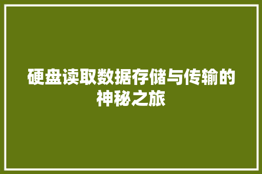 硬盘读取数据存储与传输的神秘之旅