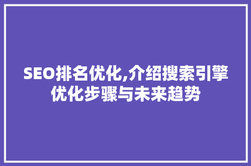 SEO排名优化,介绍搜索引擎优化步骤与未来趋势