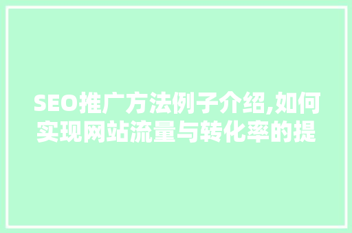 SEO推广方法例子介绍,如何实现网站流量与转化率的提升