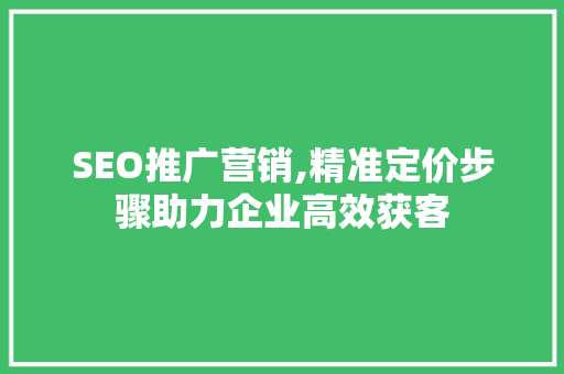 SEO推广营销,精准定价步骤助力企业高效获客