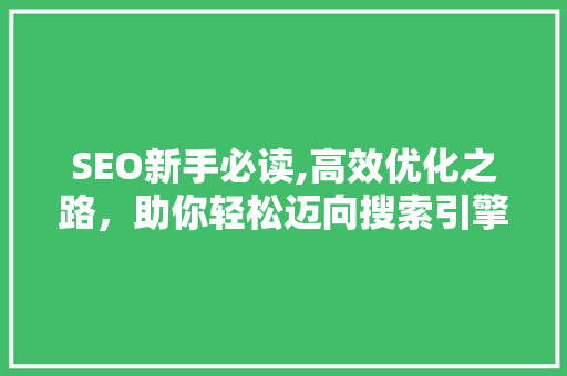 SEO新手必读,高效优化之路，助你轻松迈向搜索引擎排名前列