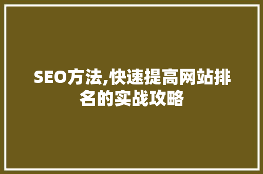 SEO方法,快速提高网站排名的实战攻略