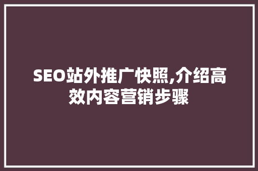 SEO站外推广快照,介绍高效内容营销步骤