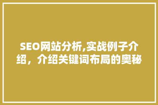 SEO网站分析,实战例子介绍，介绍关键词布局的奥秘