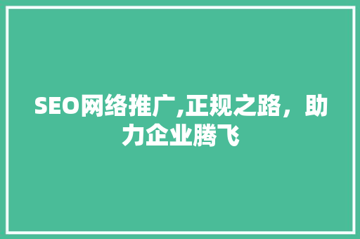 SEO网络推广,正规之路，助力企业腾飞