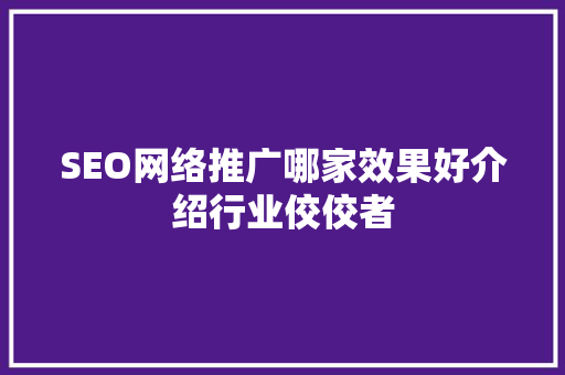 SEO网络推广哪家效果好介绍行业佼佼者