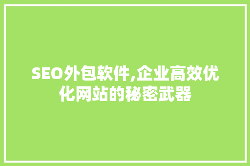SEO外包软件,企业高效优化网站的秘密武器