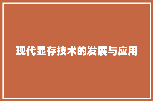 现代显存技术的发展与应用
